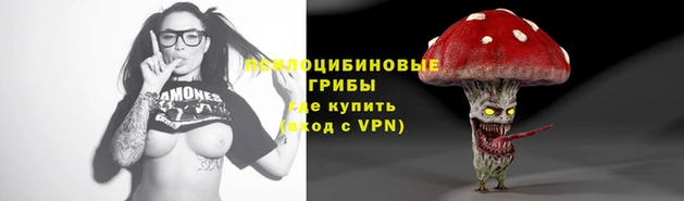 МДПВ Иннополис