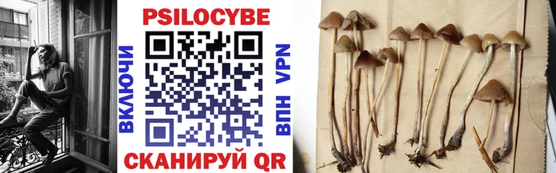 нарко площадка как зайти  Заволжье  Галлюциногенные грибы MAGIC MUSHROOMS 